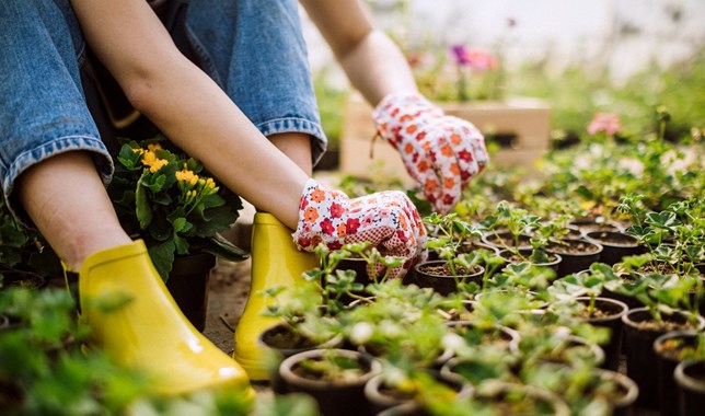 Gardening
